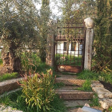 Romantico Palazzo Dei Ulivi Purasca Eksteriør bilde