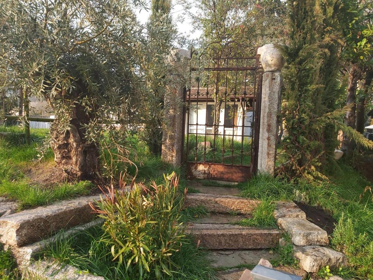 Romantico Palazzo Dei Ulivi Purasca Eksteriør bilde