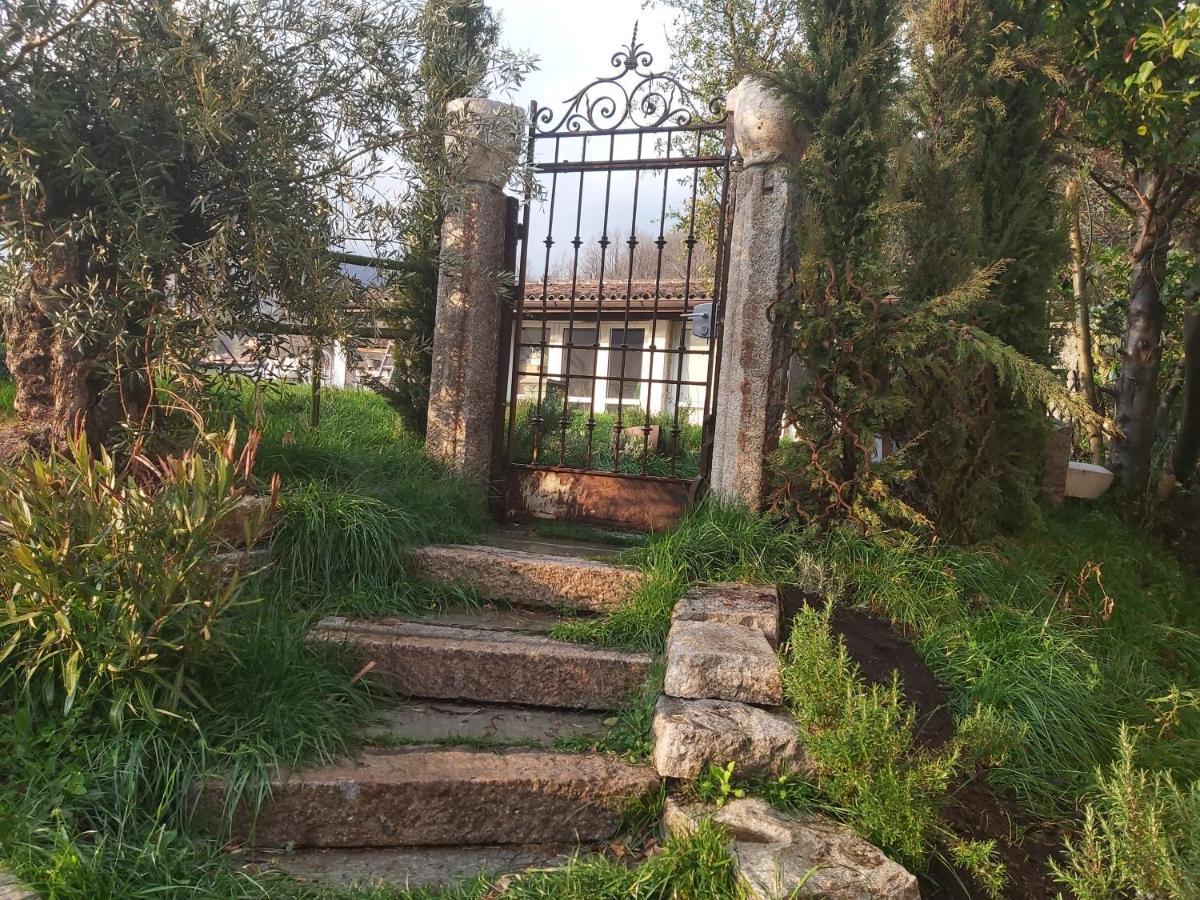Romantico Palazzo Dei Ulivi Purasca Eksteriør bilde